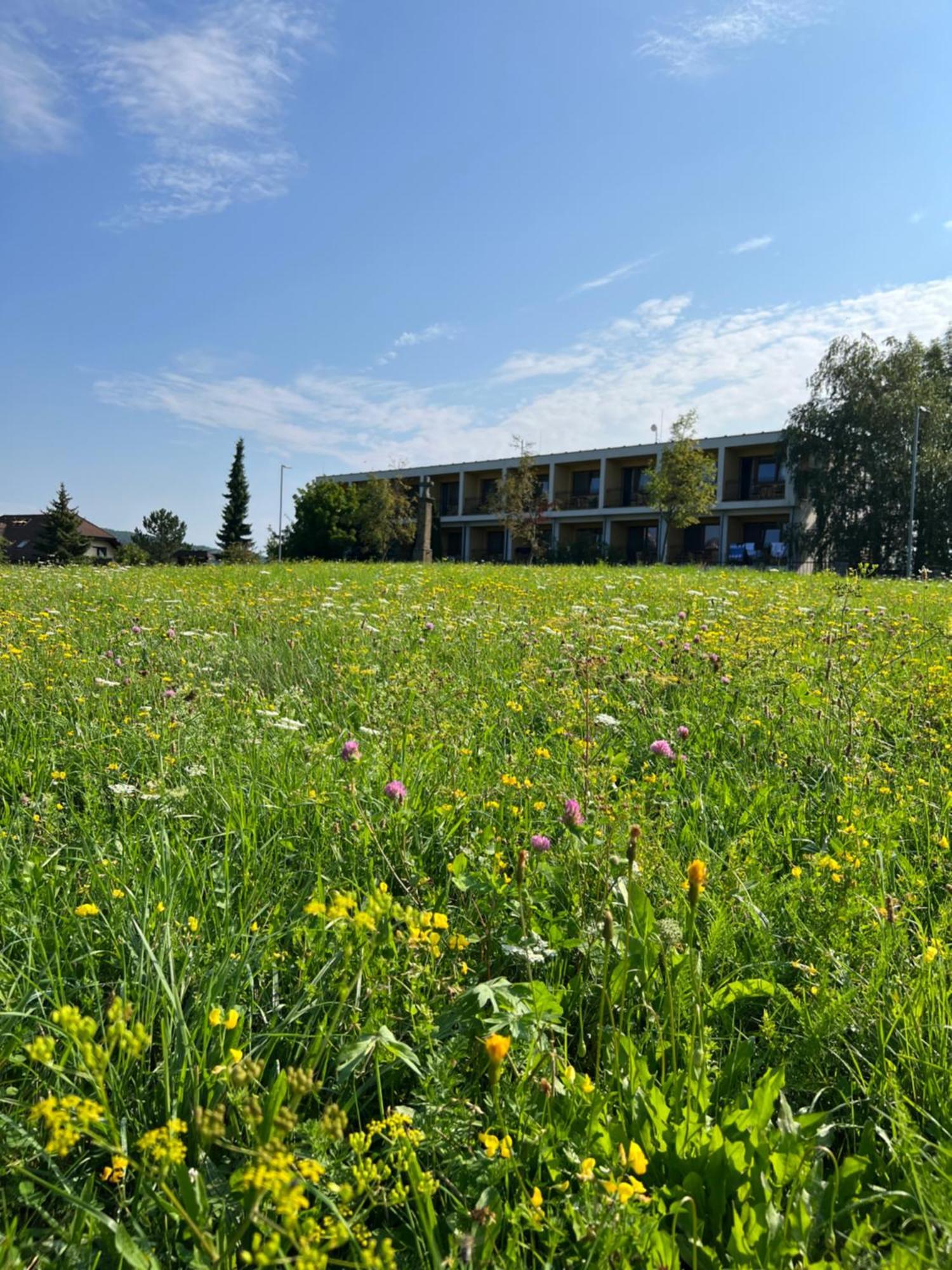 Lazensky A Wellness Hotel Nivamare Luhacovice Exterior photo